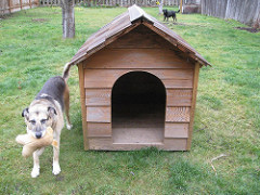 Thecoop, whenitwas a doghouse