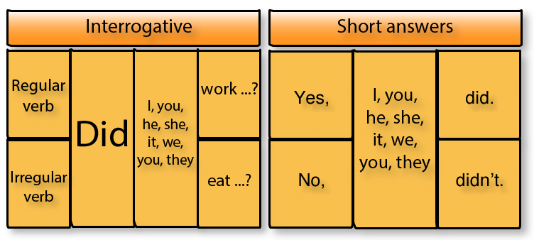 Affirmative, negative and interrogative forms