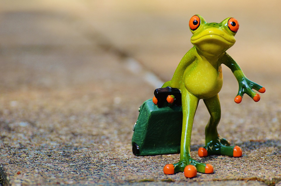 Frog with suitcase