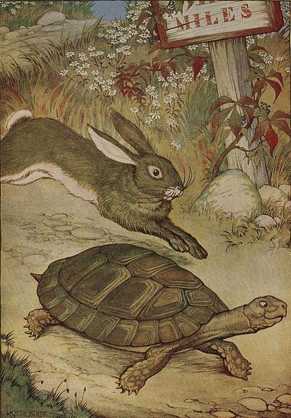 Rabbit and turtle running.