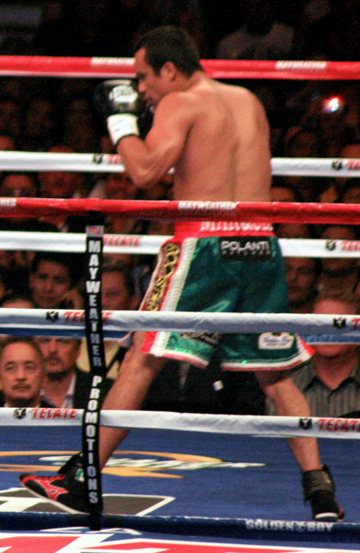 Boxer fighting
