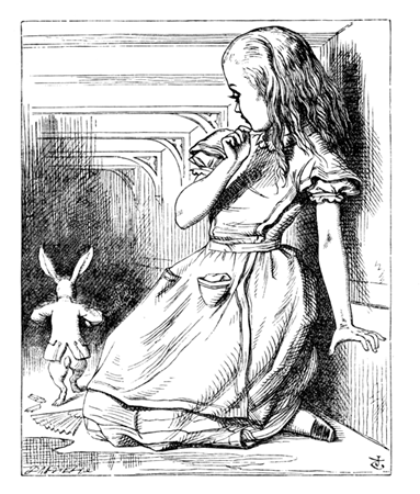 Alice & Rabbit