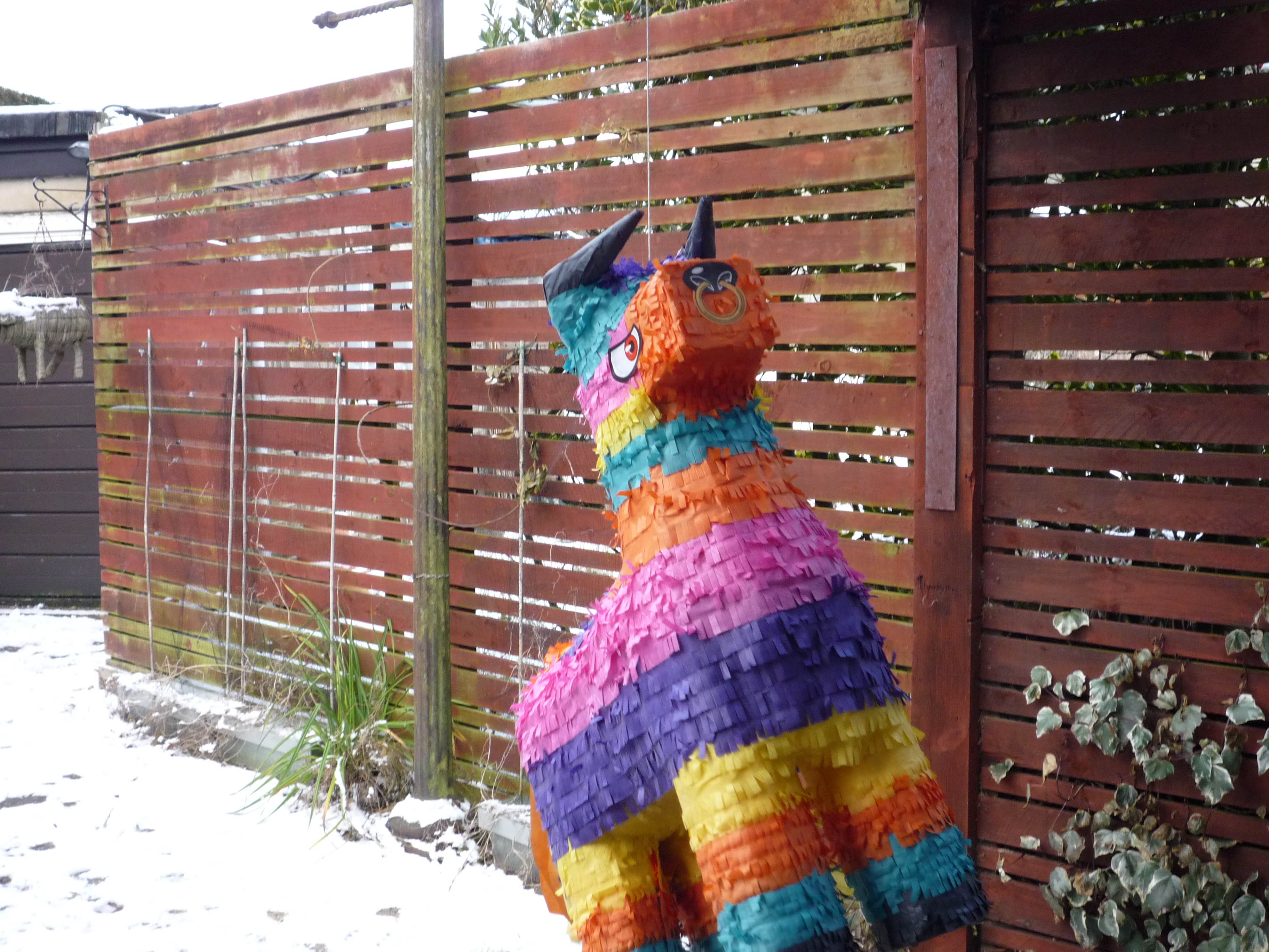Colorful bul piñata.